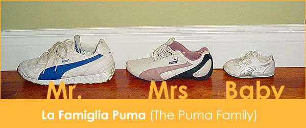 puma-family1.jpg