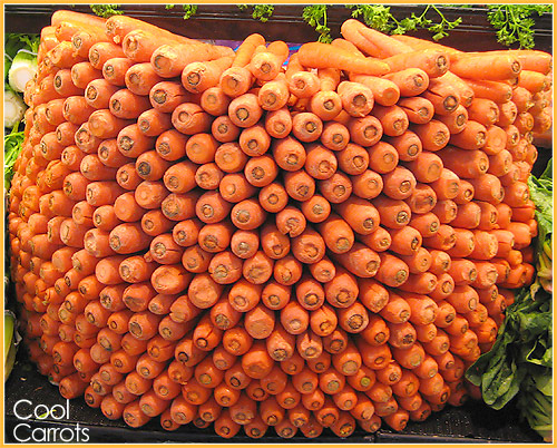 Fresh carrots from Whole Foods In West Vancouver