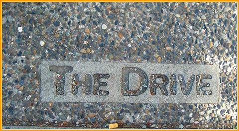 The Drive 