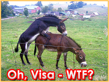 Visa what\'s wrong with you?