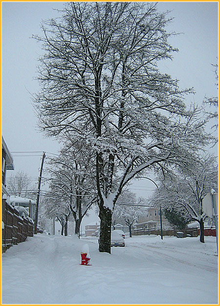 vancouver-blizzard-3