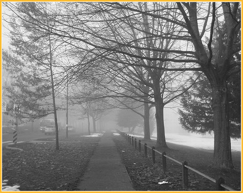 jan-23-east-van-fog