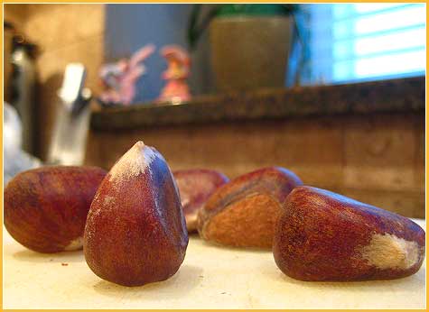 jan-27-09-chestnuts